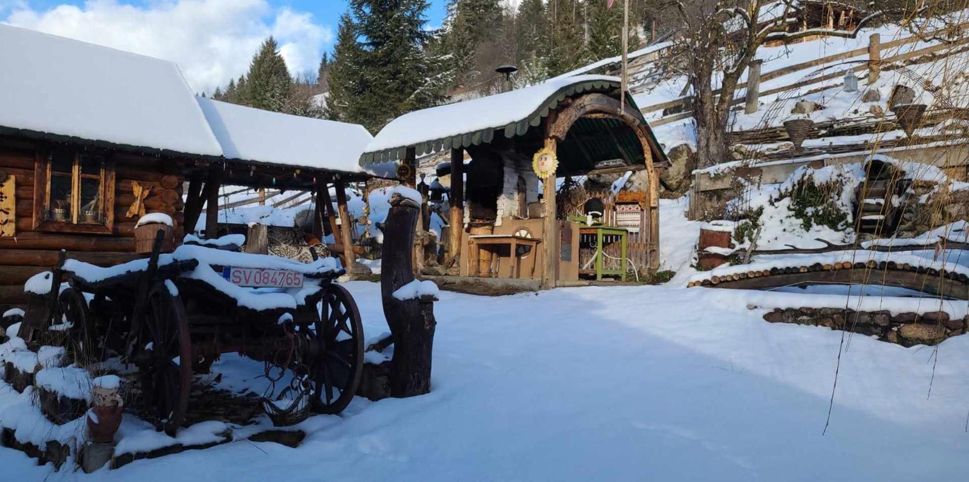 Villa Casa Rustik Bucovina à Fundu Moldovei Extérieur photo