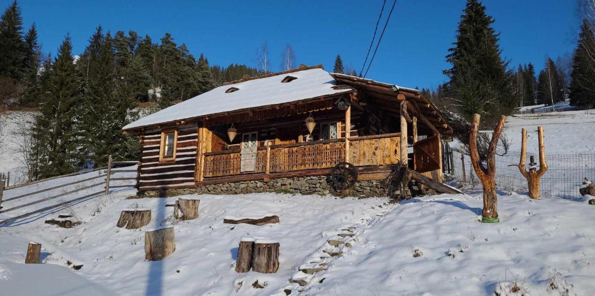 Villa Casa Rustik Bucovina à Fundu Moldovei Extérieur photo
